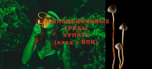 ECSTASY Магас