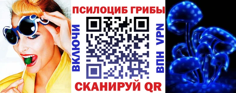 darknet наркотические препараты  как найти   Мосальск  Галлюциногенные грибы мухоморы 