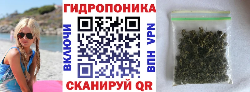 купить наркотик  Мосальск  mega рабочий сайт  Конопля конопля 
